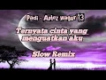 Lagu Ternyata cinta- Padi Slow Remix