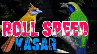 masteran roll speed kasar