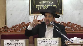 הרב מאיר אליהו פרשת האזינו מוסאיוף ה תשפ ב 