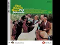 The Beach Boys - Wouldn't It Be Nice (Mono Mix Cover)