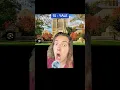 Download Lagu The TRUTH About Yale… #yale #college #collegelife #university