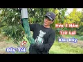 Download Lagu Thăm Trúm Vườn Sầu Riêng Dính Lươn HÃI HÙNG Đầy Túi Lưới. Visit the DURIAN Garden with Giant Eels