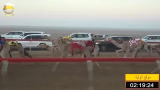 الشوط 3 كحيله لـ خلفان بخيت فطيس المنصوري شارة الإتحاد 2018 12 5 سويحان حقايق 