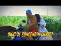 Download Lagu [FULL] KREASI OLAHAN IGA, GENDAR, JERUK DEKOPON | JEJAK SI GUNDUL (08/05/25)