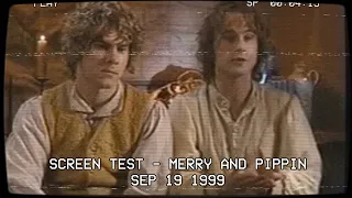 Well now I understand why they re the perfect Merry and Pippin