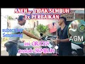 Download Lagu 3x MASUK BENGKEL‼️🇮🇩KETEMU AGM JEMBER LANGSUNG SEMBUH DAN GRATIS