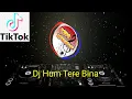 Download Lagu Dj🎧Hum Tere Bina Tik Tok 2021 No Copyright
