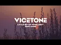 Download Lagu Vicetone - Little Bit Of Your Light (Official Video) ft. CVBZ