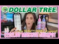 HUGE Dollar Tree Haul CRAZY GOOD Beauty Dupes I Can t Believe Are 1 25