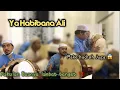 Lagu Ya Habibana Ali Syailillah #QosidahHSB-Hadroh Syabaabun Ba'alawy||NurulMusthofa