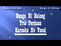 Download Lagu Bunga Ni Holong Karaoke No Vokal Trio Perdana