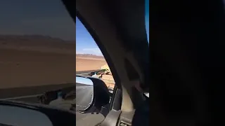 أخذوني معاكو للسفرة هاي    دندنها