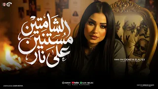 كليب الشماتين مستنين علي نار دنيا الألفي 2026 توزيع حريقه برودكشن Official Video Music 2026 