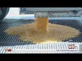 Going behind the scenes creating the crunch behind Frito-Lay chips with corn from Central Illinois