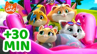 44 Gatos | Em viagem com os Buffycats! 🚗✨ +30 Minutos