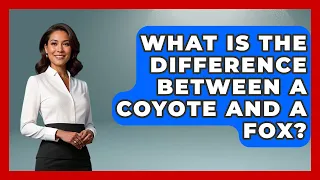 What Is The Difference Between A Coyote And A Fox - Exploring Campgrounds
