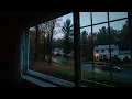 Gloomy Fall Rain In Forks Washington Calm Rain Ambience For Reading Sleeping Etc