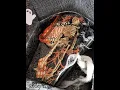 Download Lagu Halloween Coffin Mini Album Tutorial