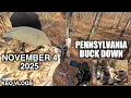 Self Filmed Big Woods Pennsylvania Buck Down