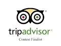 TripAdvisor Contest Finalist Owl Eyes