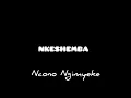 Download Lagu NKESHEMBA EMNYAMA Track NCONO NGIMYEKE NGIMSHIYE