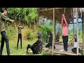 Download Lagu Full video police caught human trafficking criminals