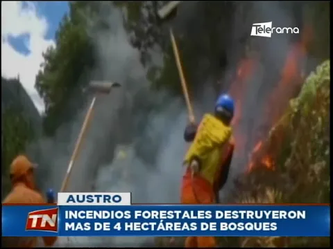 Incendios forestales destruyeron mas de 4 hectáreas de bosques