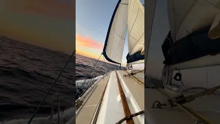 Avoir une vue comme celle là de la fenêtre de notre maison… un rêve devenu réalité ✨⛵️
