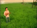 Download Lagu つじあやの / 風になる　【VIDEO MUSIC AYA～NO 2009】