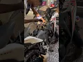 Download Lagu how to remove spark plug CBR 150 😮 #cbr #cbr150r #cbr250rr #trending #youtube #hardwork