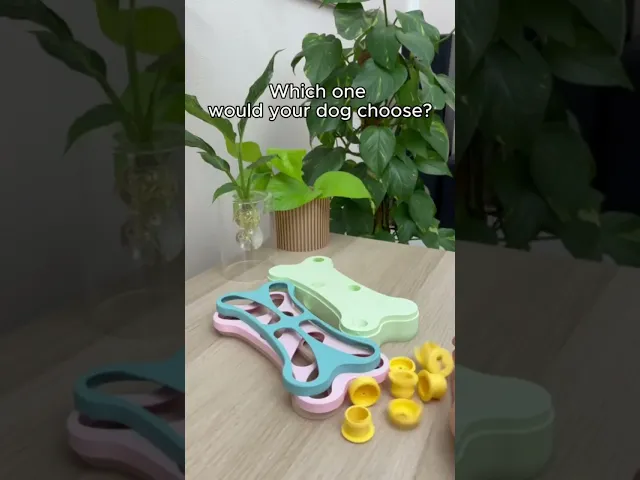 BONE PUZZLE video thumbnail