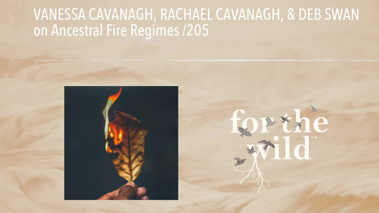 VANESSA CAVANAGH, RACHAEL CAVANAGH, & DEB SWAN on Ancestral Fire Regimes /205