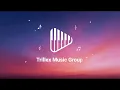 Madison Beer - bad enough (Lyrics)