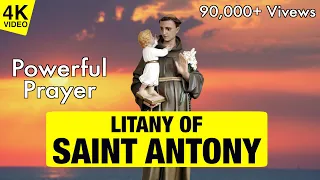 litany of saint antony 4k video saint antony pray for us