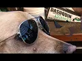 My Dasuquin Rejensa Regiment 9 th Month review - Gunner the 3 legged Dog