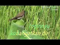 Download Lagu no vocal - MASIH ADAKAH RINDU-Nia Daniaty