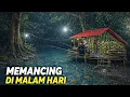 Lagu Camping hujan deras di saat memasak dan memancing dari atas pondok di malam hari sambil minum kopi