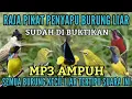 Download Lagu Suara pikat SOGON VS KUTILANG kombinasi BURCIL RIBUT AMPUH2025