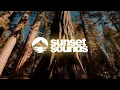 Alok, Alan Walker - Headlights (feat. KIDDO) | Lyrics