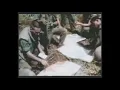 VIETNAM WAR MUSIC The Amboy Dukes - Baby Please Don't Go