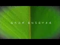 CORSAK - 嵐 Evergreen (Audio)