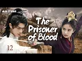 Lagu MUTLISUB【The Prisoner of Blood】▶EP 12💋Xu Kai Yang Mi Xiao Zhan Zhao Liying Wang Yibo❤️Fandom