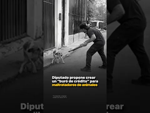 Diputado propone crear un "buró de crédito" para maltratadores de animales.