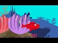 The Red Fish Song 🐟 | Kirpi Piki Nursery Rhymes & Kids Songs