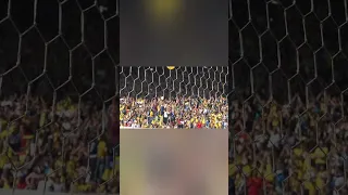 صوت الجمهور في الملعب جمهور كورة Shorts 