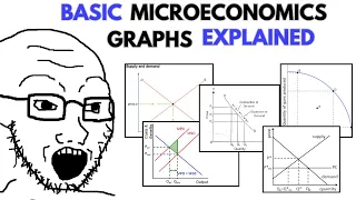 Microeconomic Graphs EXPLAINED Part 1