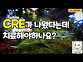 Download Lagu CRE (카바페넴내성장내세균)과 CPE 간단 정리