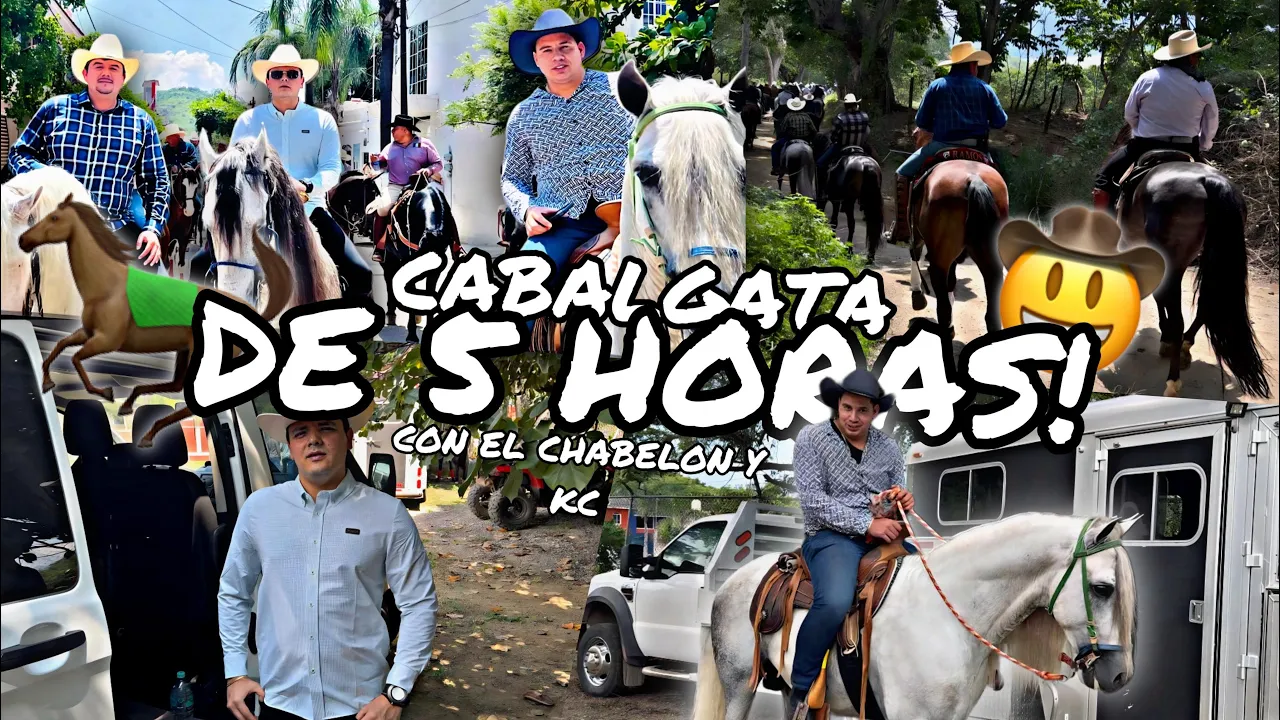 las aventuras del conejo channel featured image