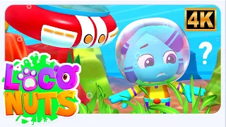 Under The Sea Hindi Rhyme, समुद्र के नीचे, Silent Video For Kids By Loco Nuts Hindi Cartoon