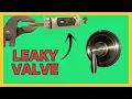 Replace Your Moen Shower Valve Cartridge - Stop the Leak Now